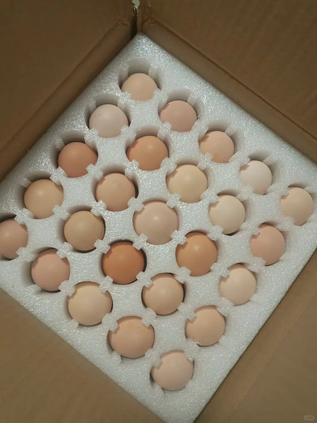 土鸡蛋年卡会员招募