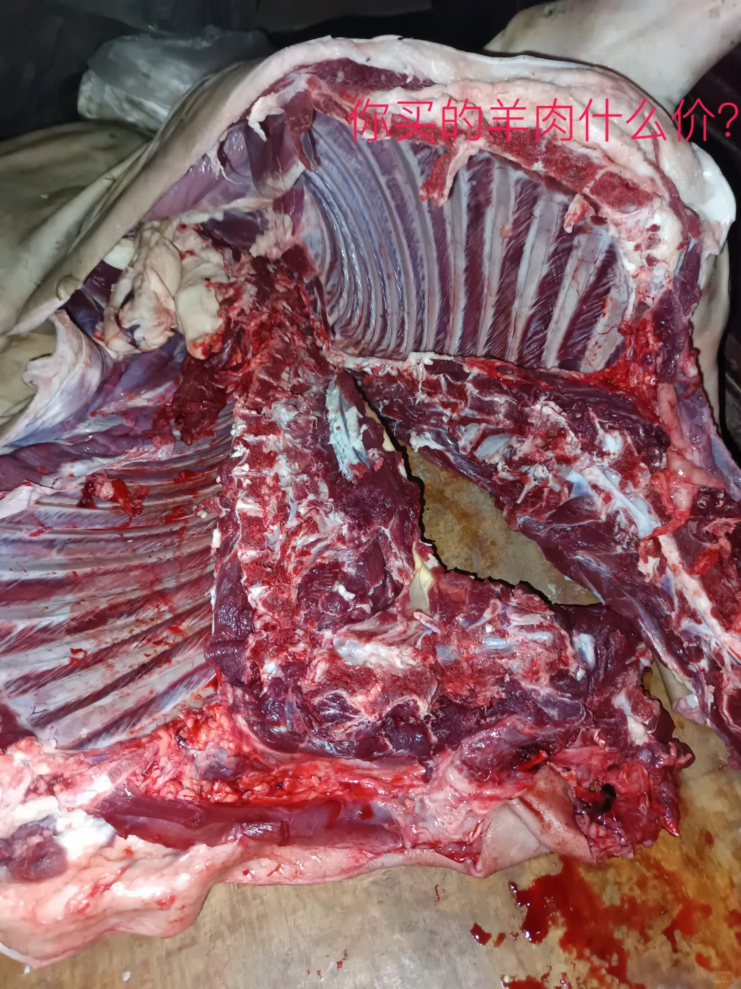 今年的羊肉什么价?