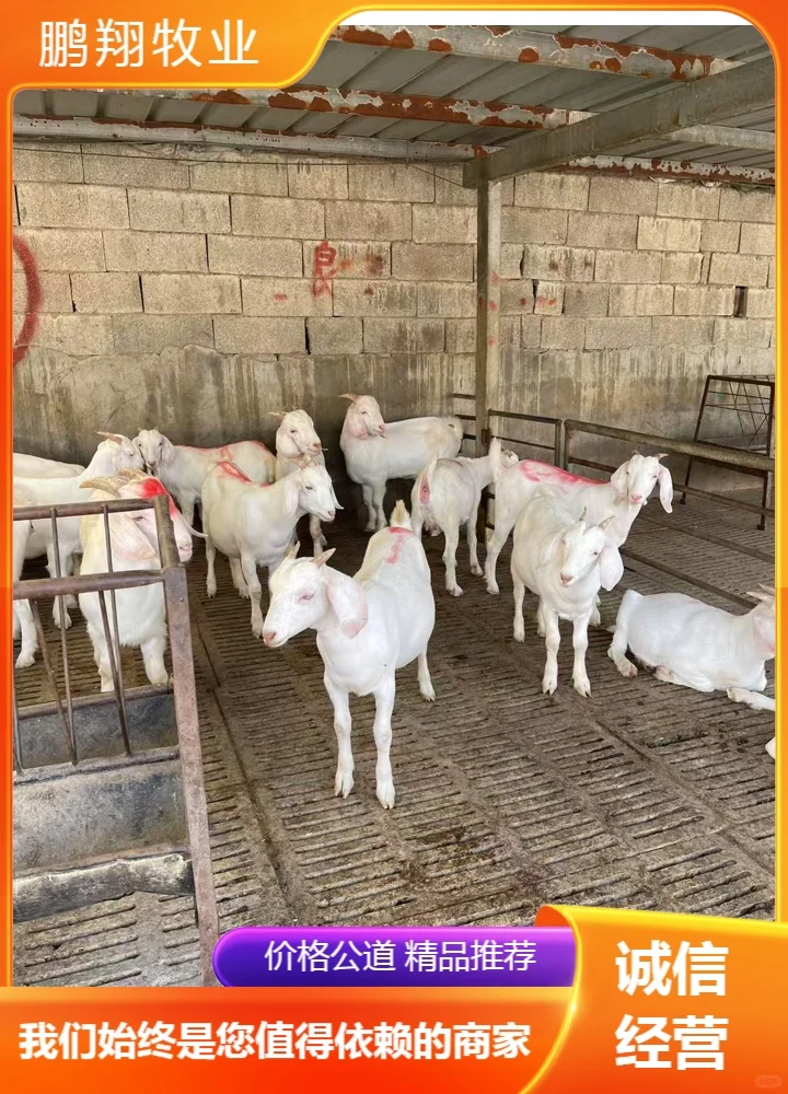 ������ҵ����ɽ��