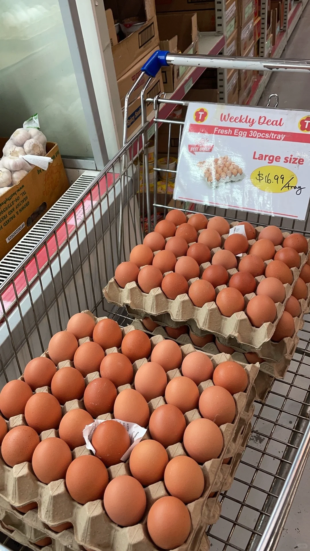 ����������˼���