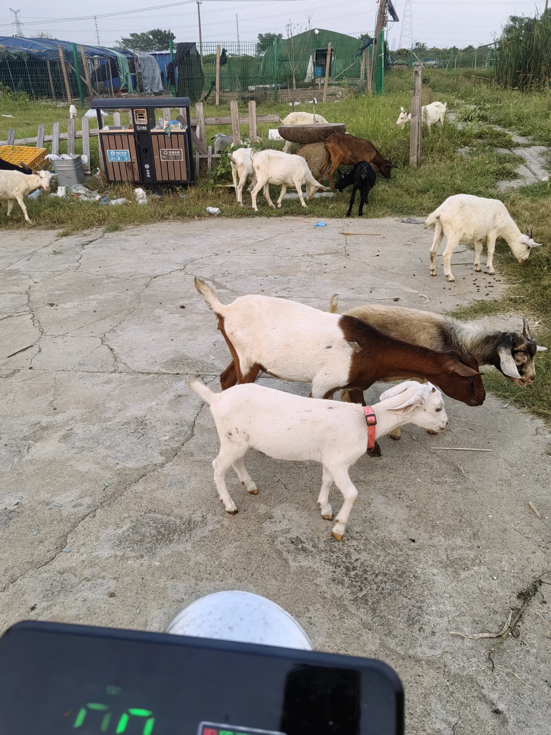 ιˮ���������ɽ����Թ���