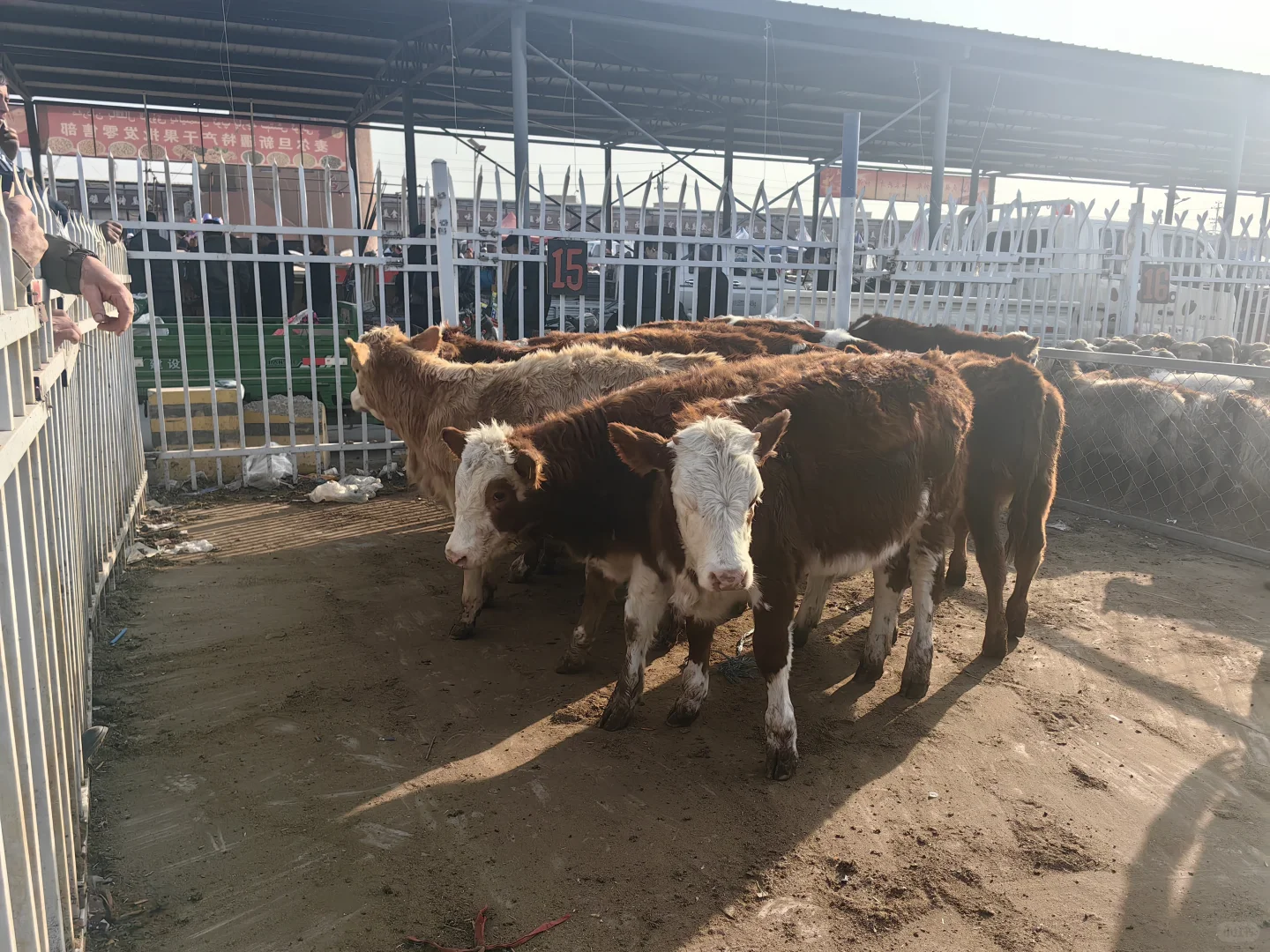 ��³����ȥ����û�����ܿ����߳��Ƕ������