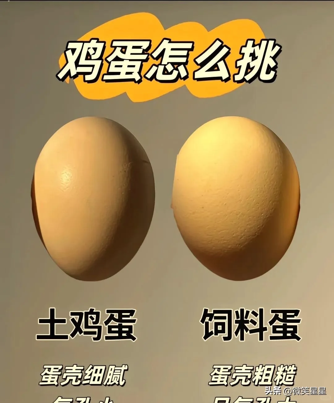 ? ���ٱ����ˣ�������vs��ͨ�������������