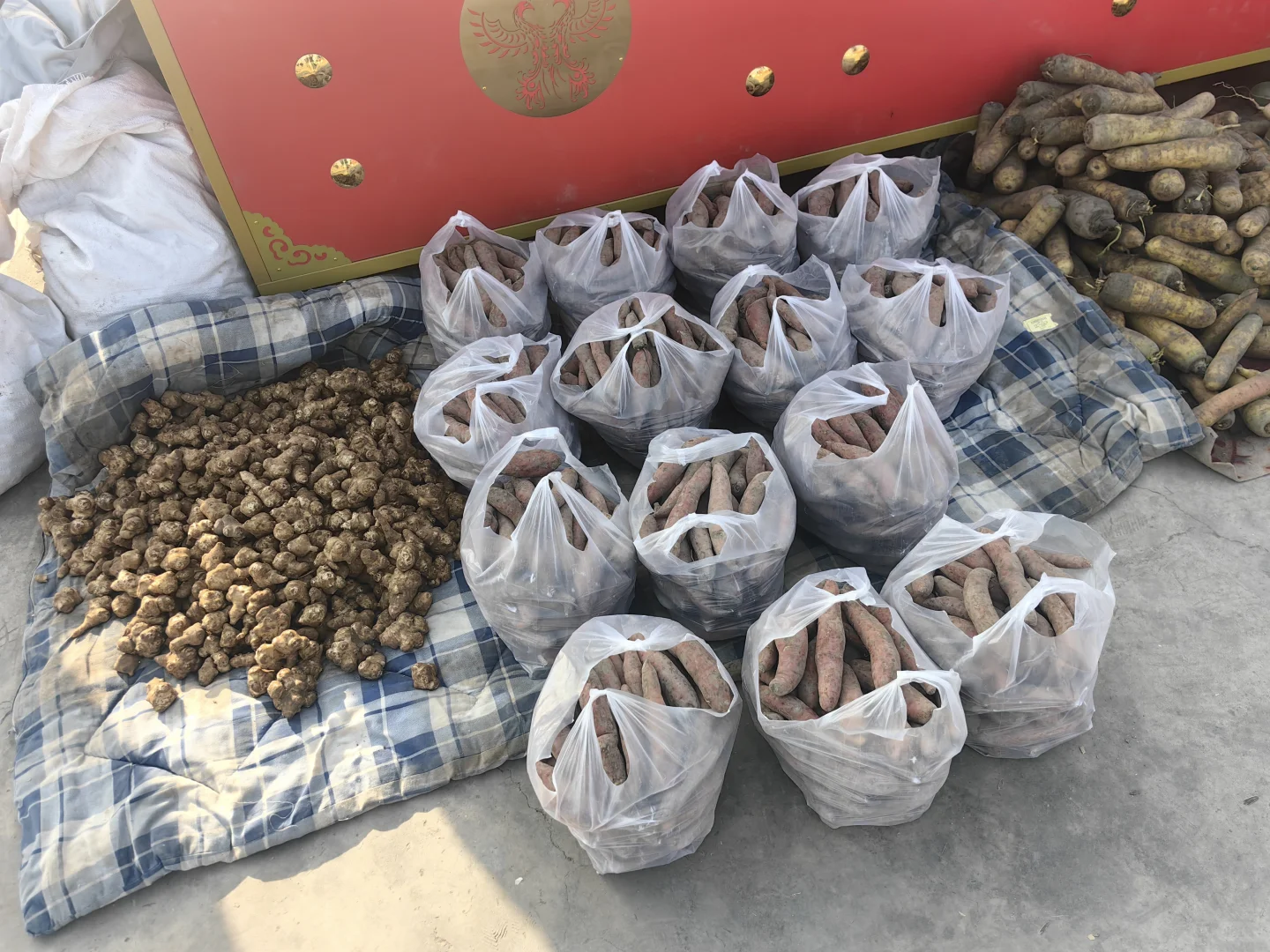 ��³����ȥ����û�����ܿ����߳��Ƕ������