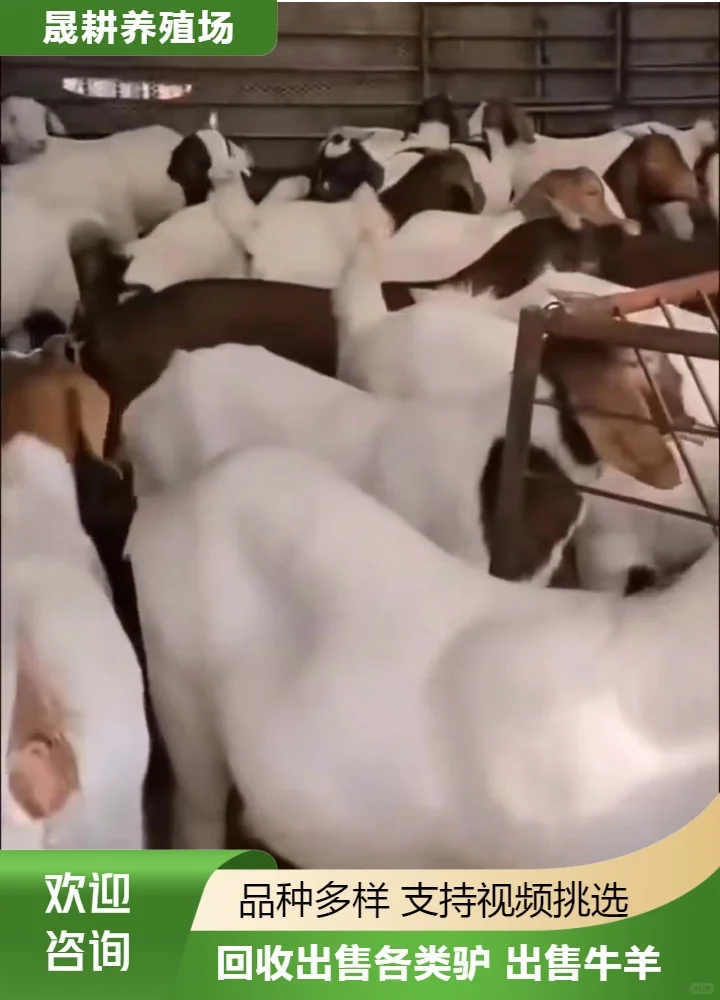 ˷��С��ʲô�۸�