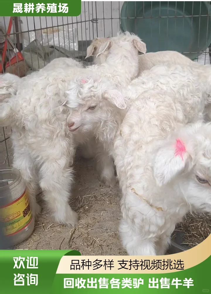 ˷��С��ʲô�۸�