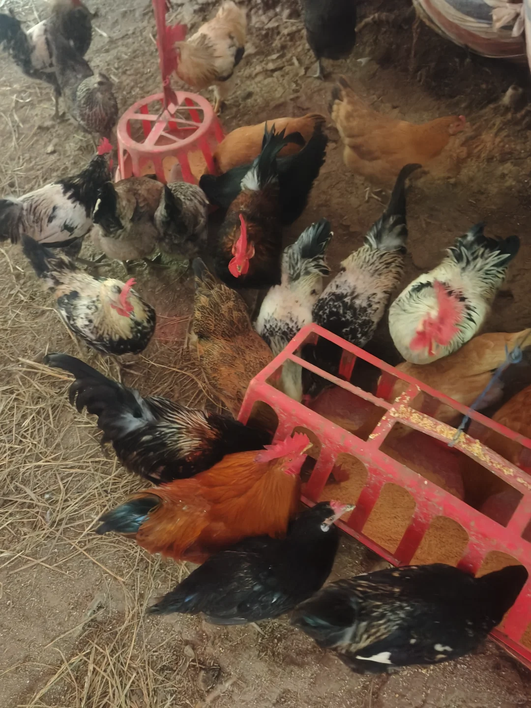 7ë�������������Ʒ��װ���Ķϻ���