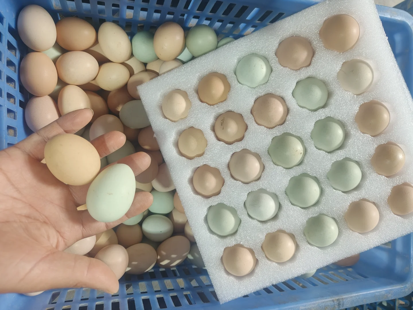 7ë�������������Ʒ��װ���Ķϻ���