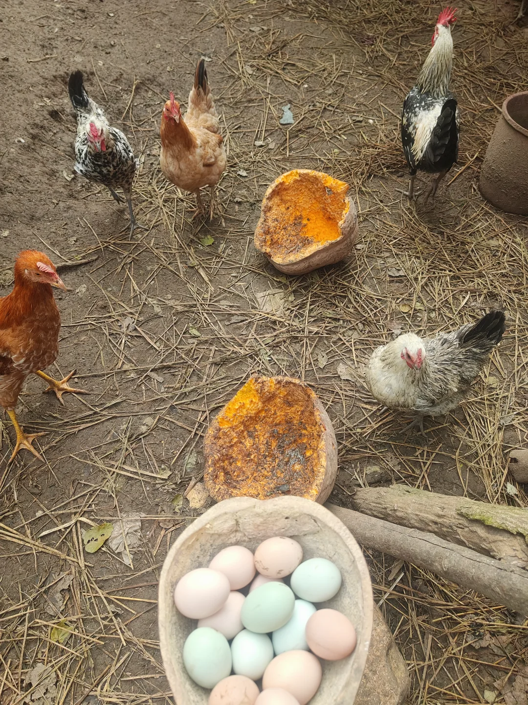 7ë�������������Ʒ��װ���Ķϻ���