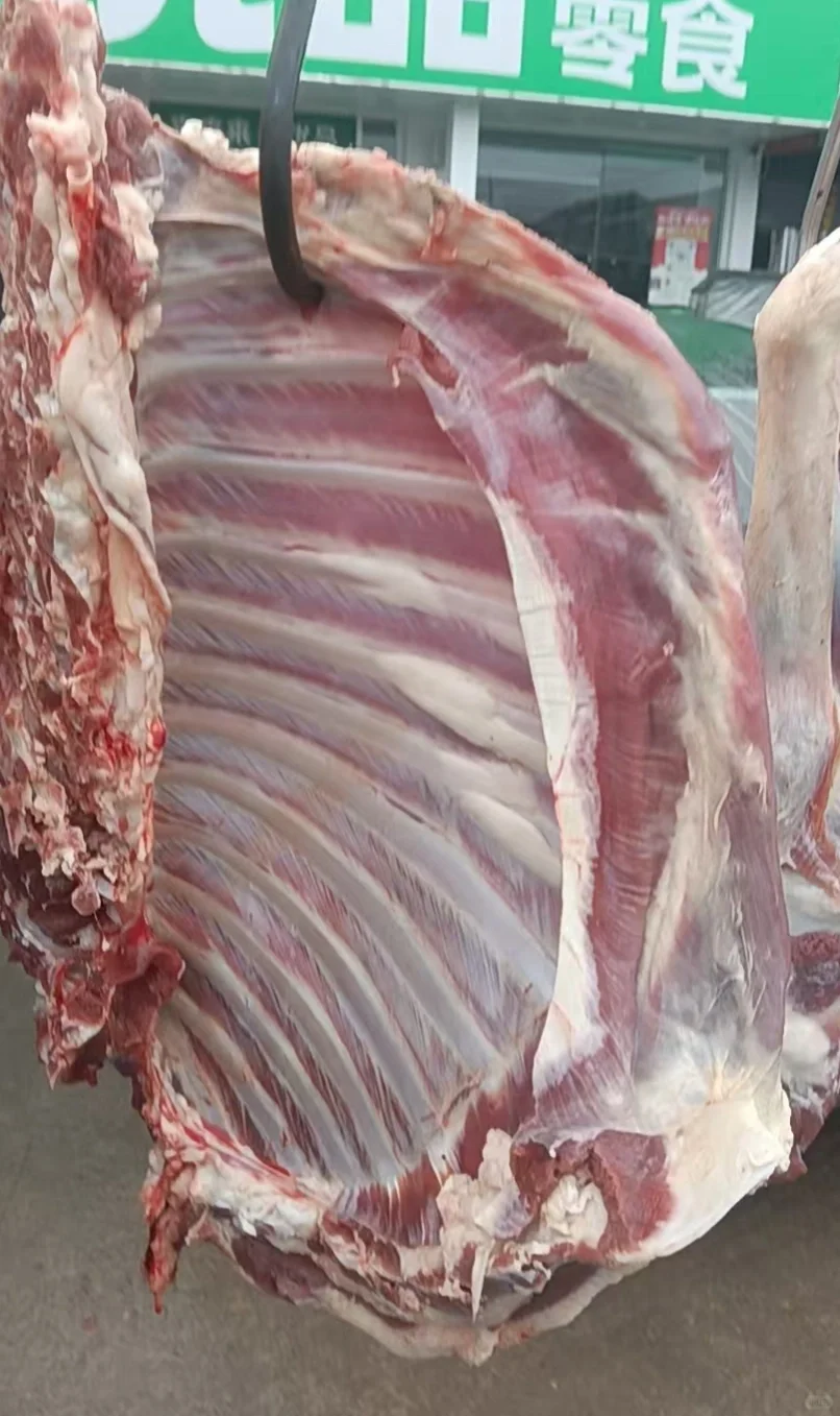 ������ɱţ����