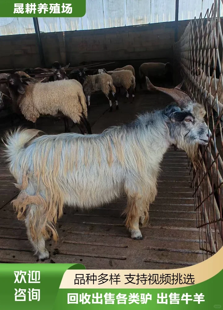 ˷��С��ʲô�۸�