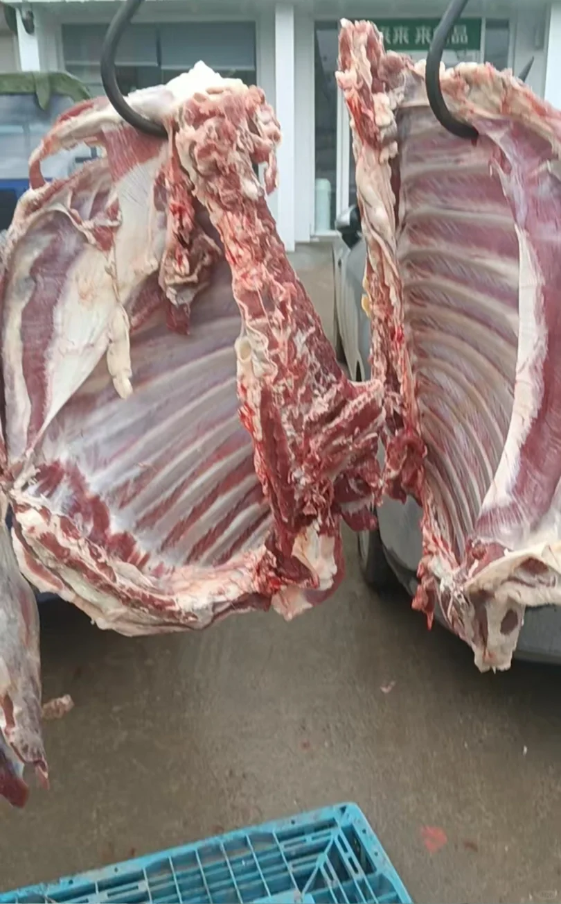 ������ɱţ����