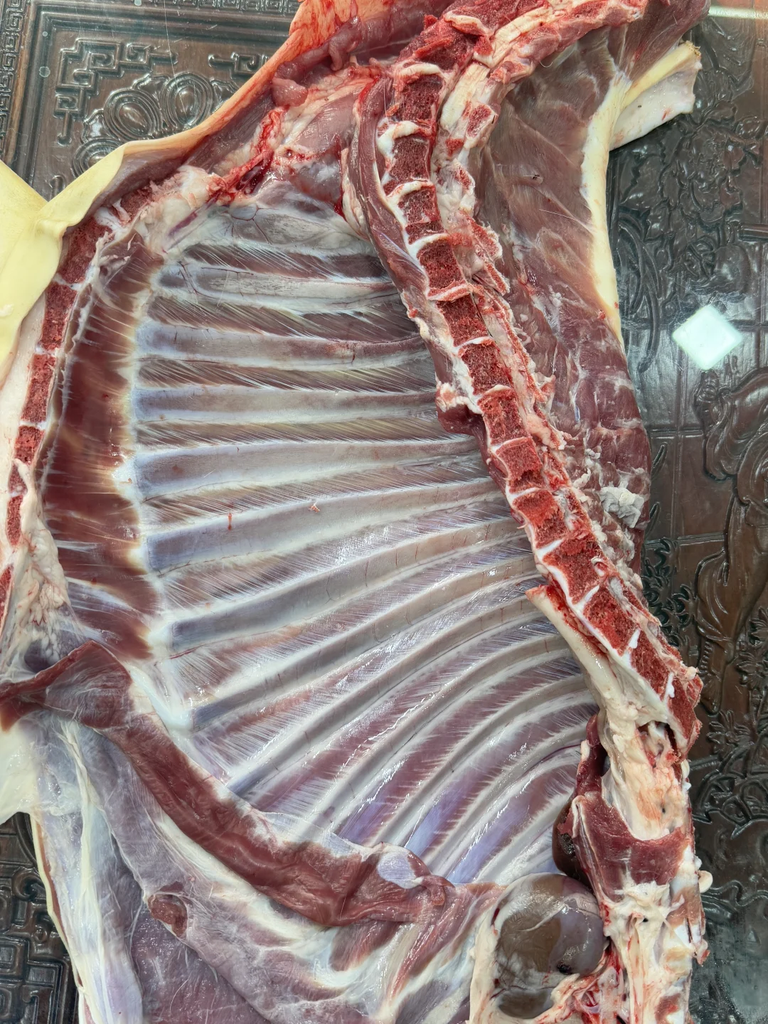 ���մ�ƤС�����ֻ��ƴ��