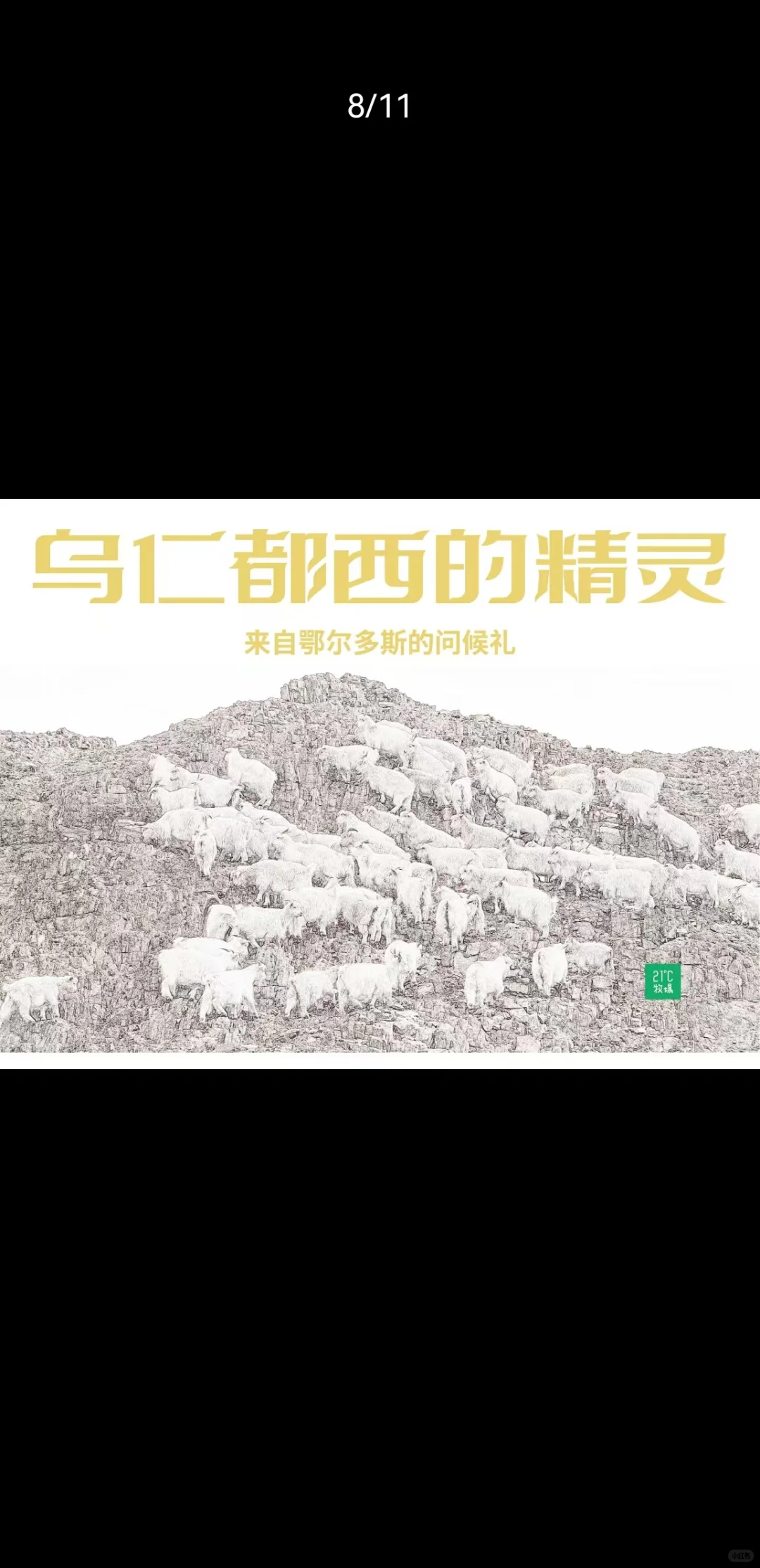 ���ɹ����İ�����˹��