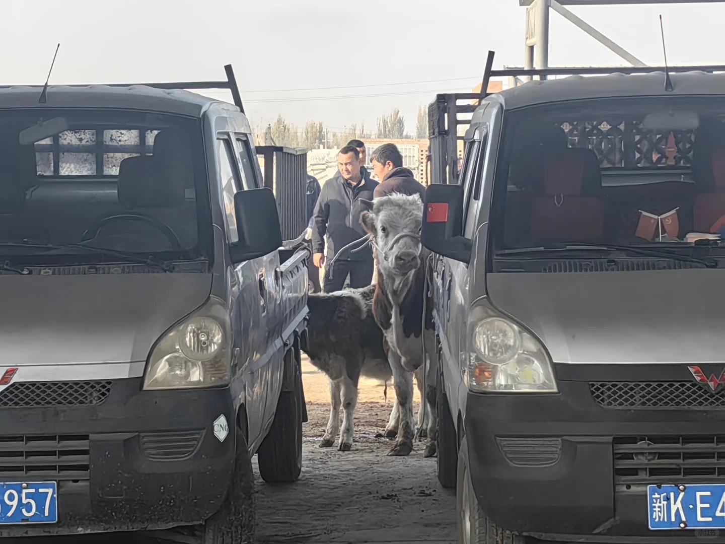 ��³����ȥ����û�����ܿ����߳��Ƕ������