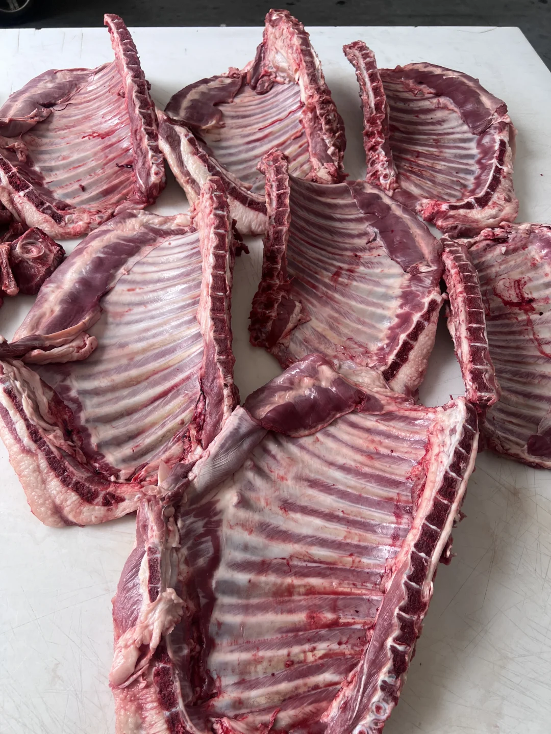 ����������� һ����ʮ