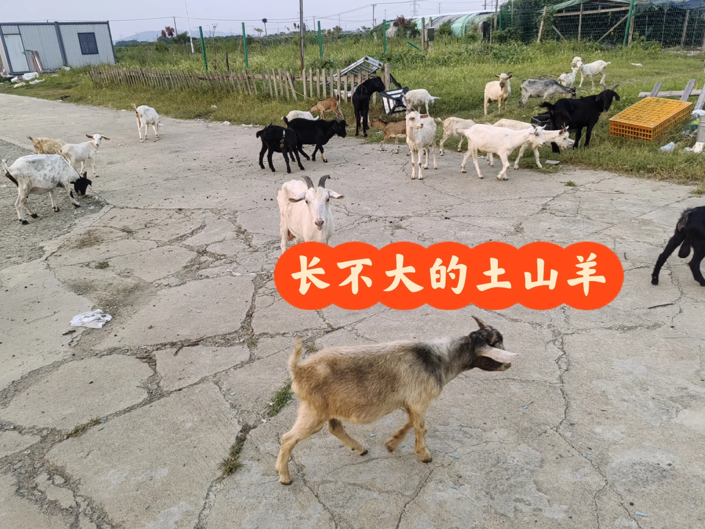 ιˮ���������ɽ����Թ���