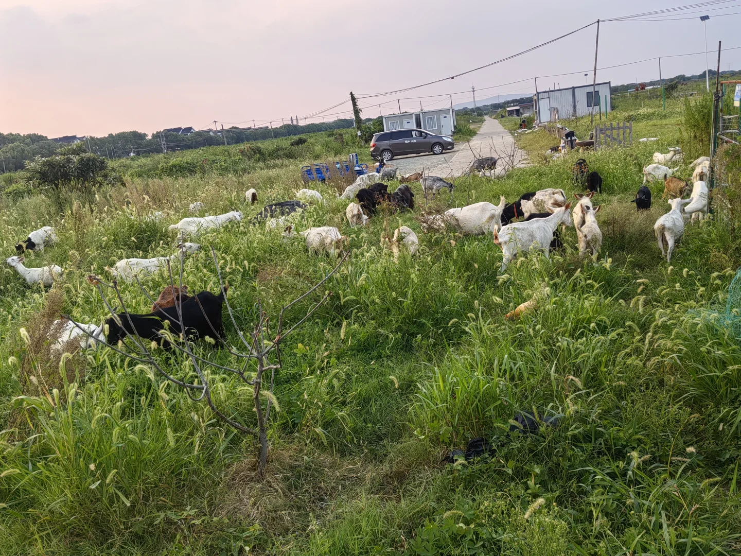 ιˮ���������ɽ����Թ���