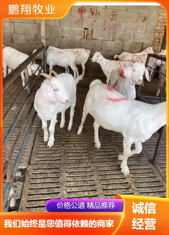 ������ҵ����ɽ��