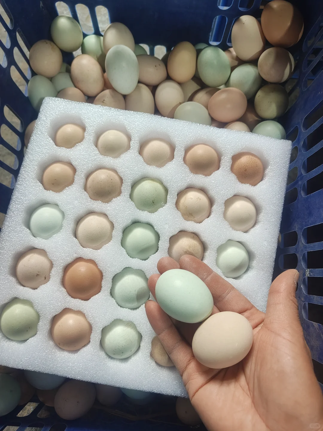 7ë�������������Ʒ��װ���Ķϻ���