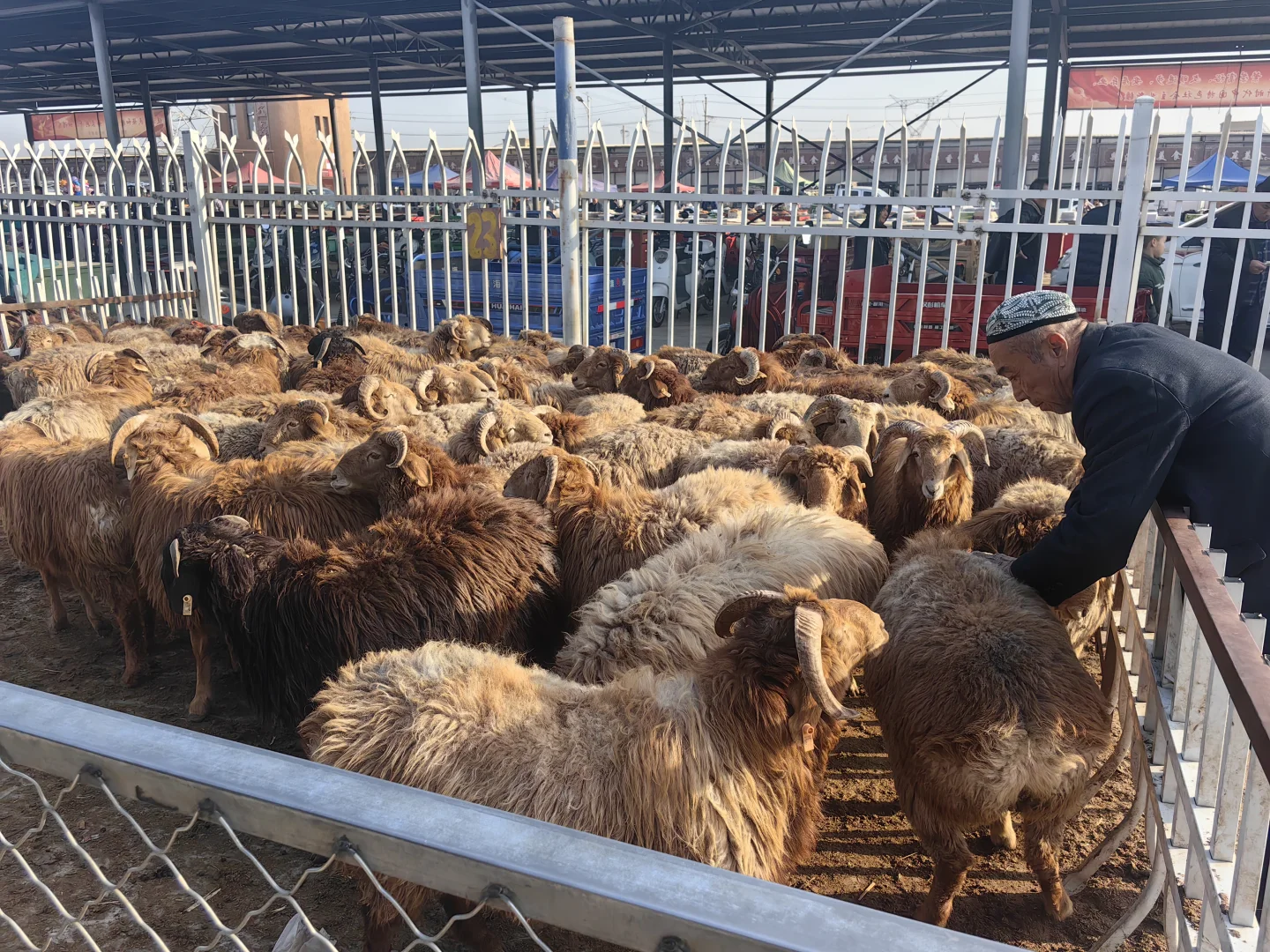 ��³����ȥ����û�����ܿ����߳��Ƕ������