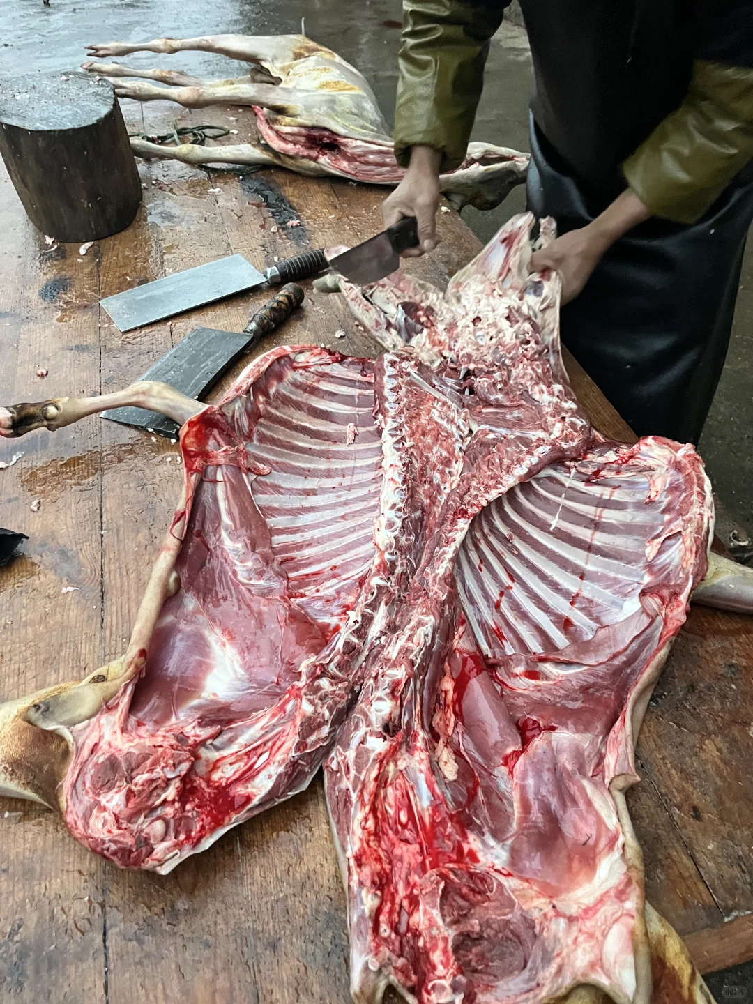 ɢ����û�з����������ϲ������