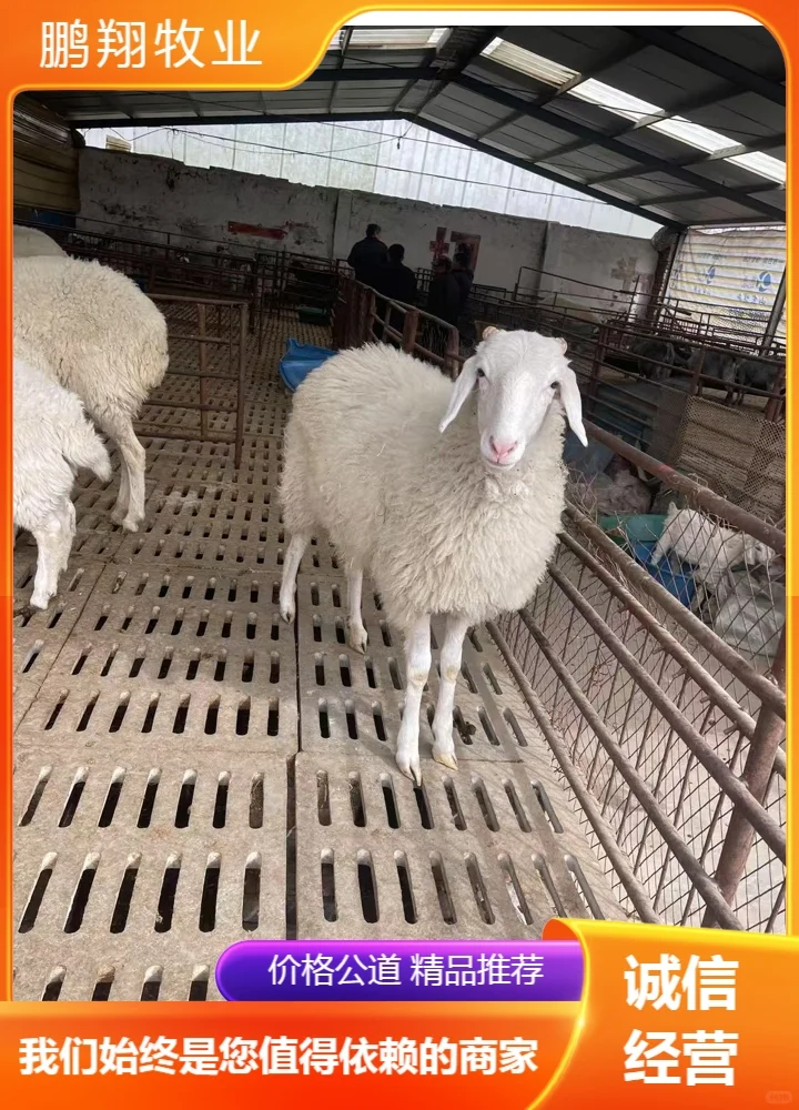 ������ҵ����ɽ��