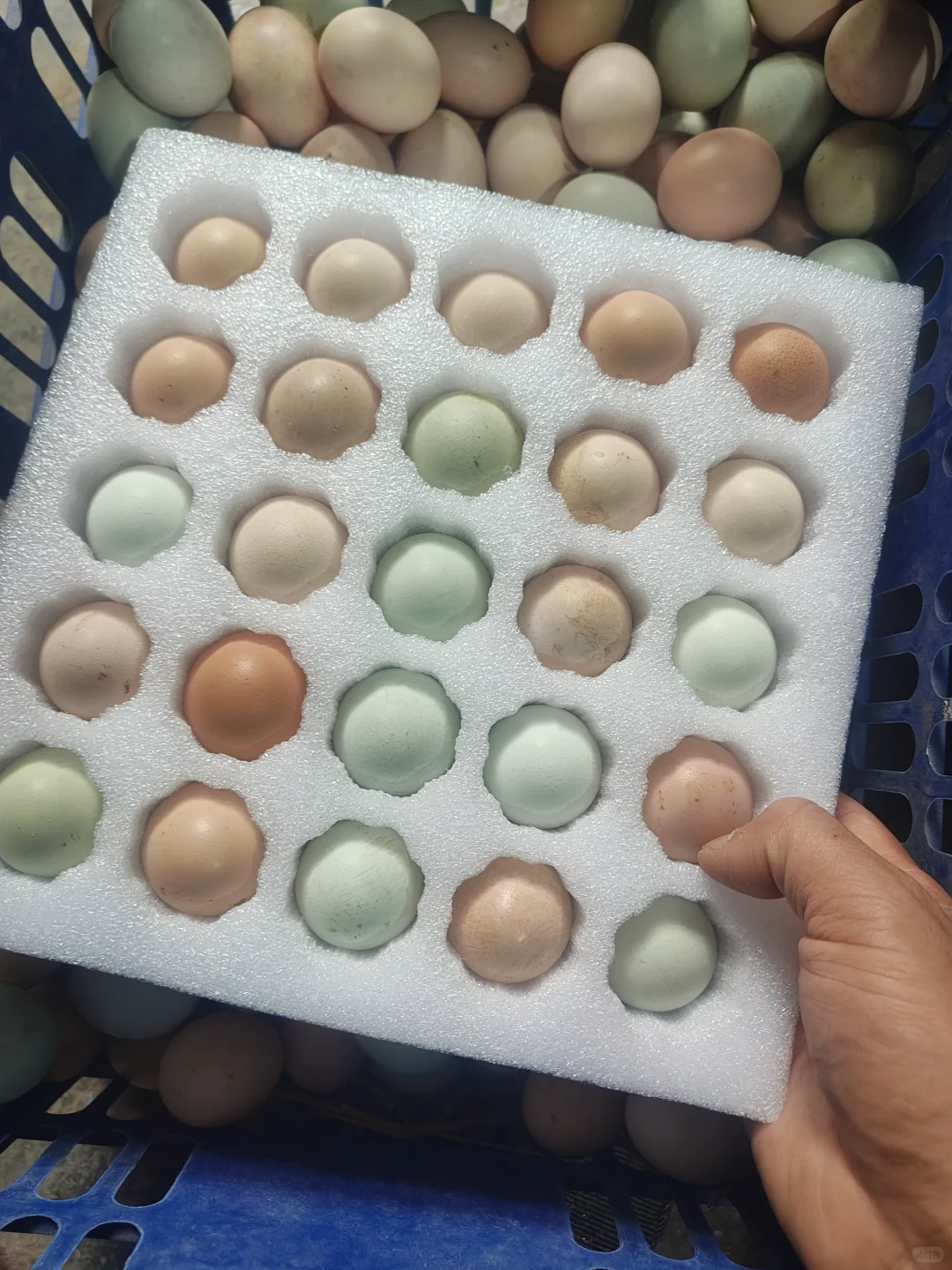 7ë�������������Ʒ��װ���Ķϻ���