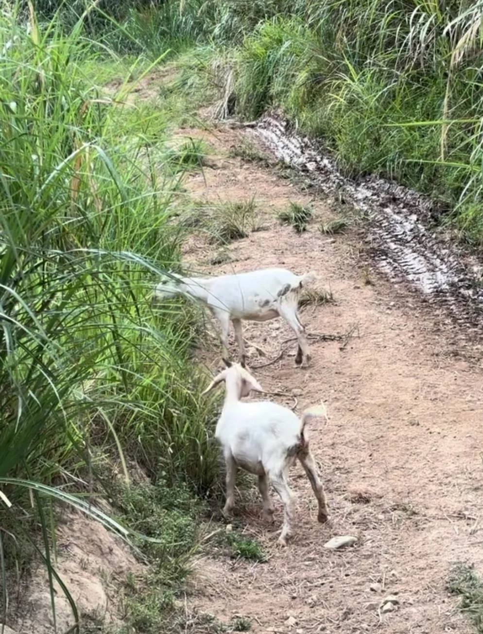 ���������?���Լҷ���ɽ����������