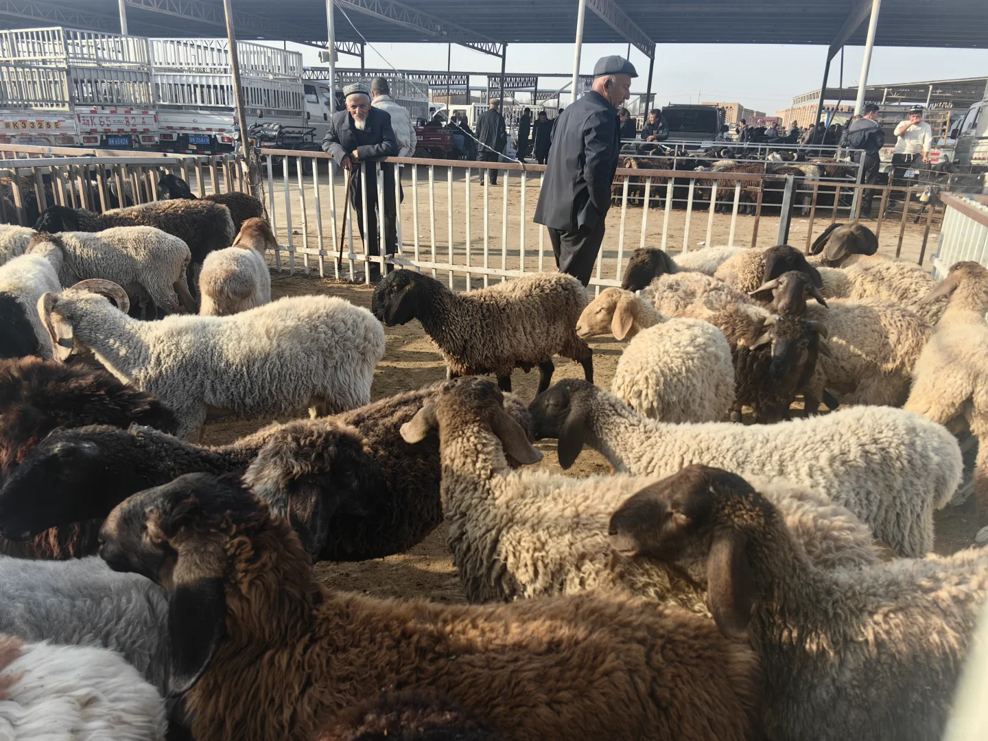 ��³����ȥ����û�����ܿ����߳��Ƕ������