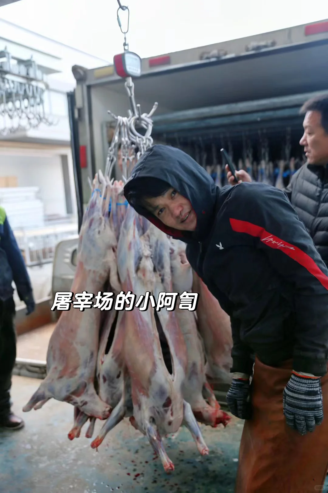 在云南吃到了真正的滩羊