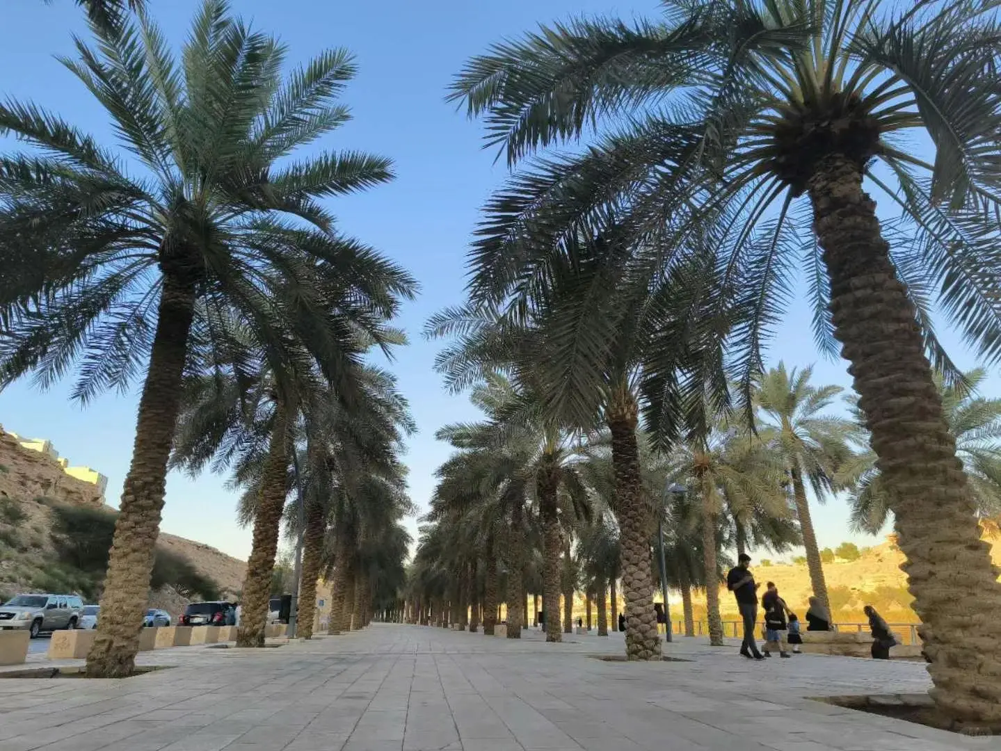 普通人出国做什么生意?