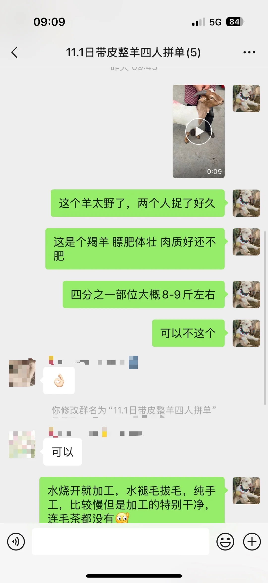 四个人拼一只带皮羯羊,每个人需要多少钱?