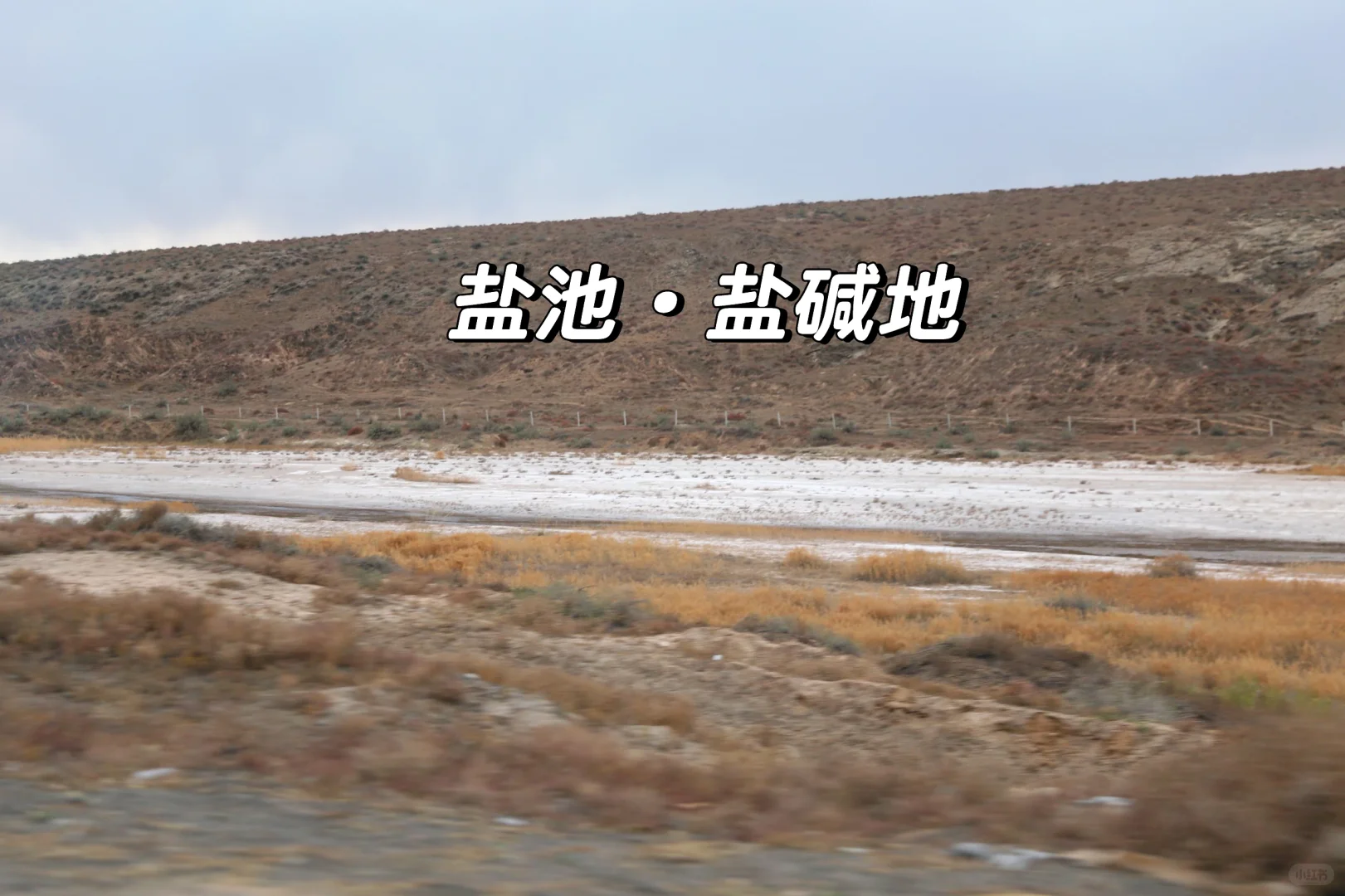 在云南吃到了真正的滩羊