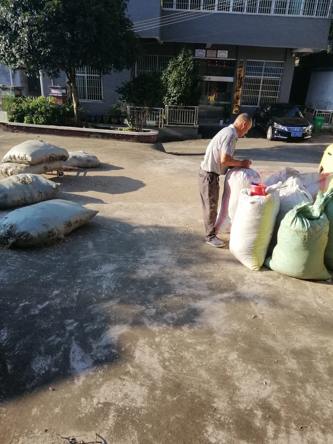 为啥山羊越养越少?养羊户退坑还是坚持?