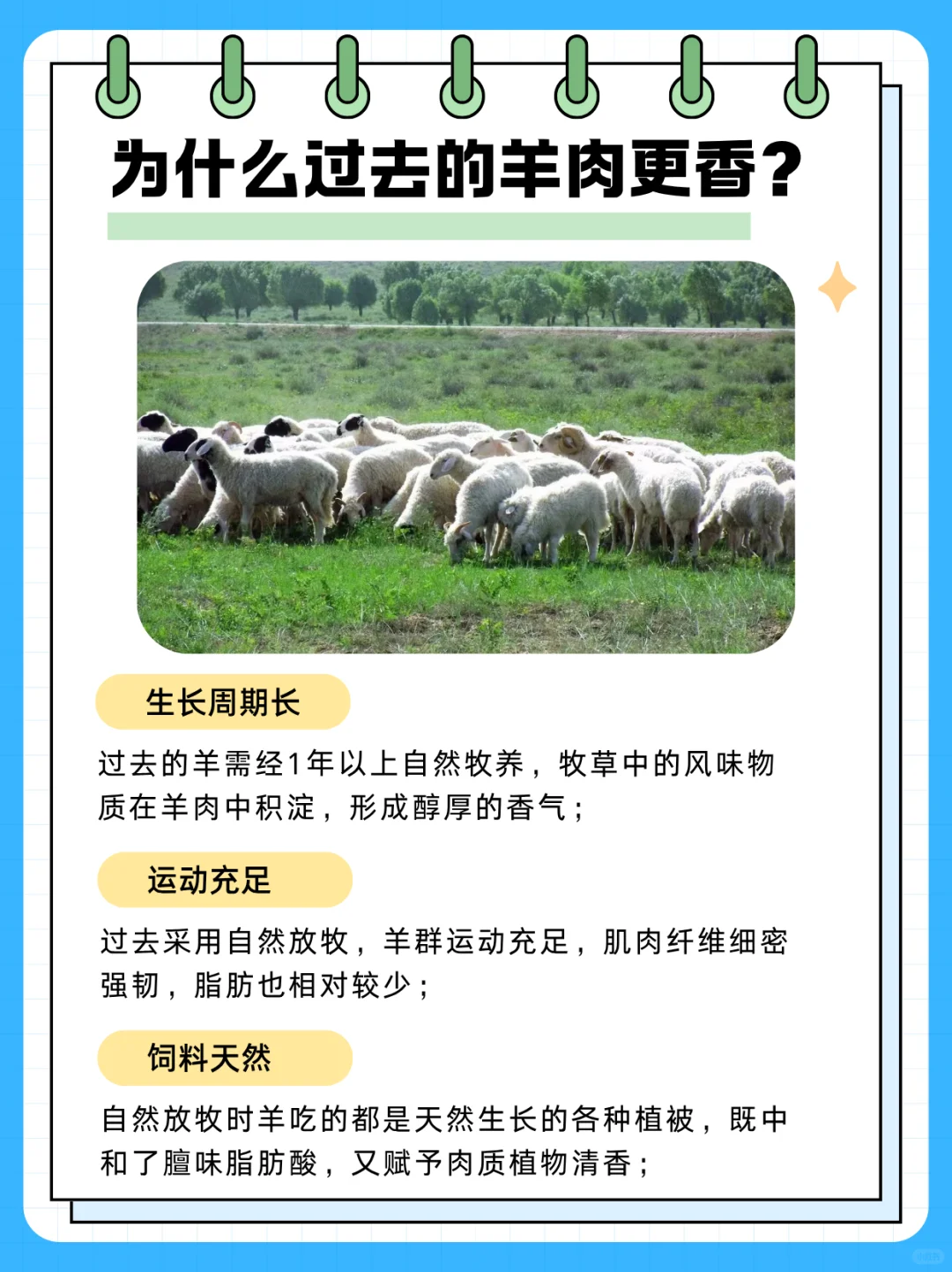 羊肉变难吃了?这不是你的错觉!??