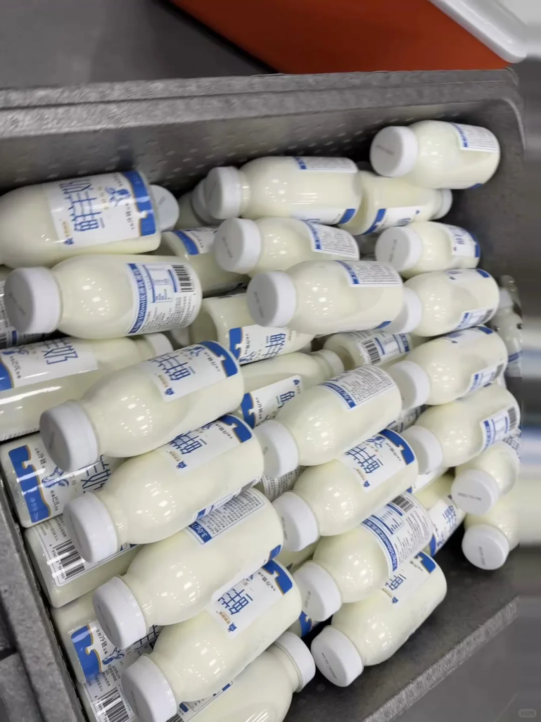 我在秦岭北麓山养了400只奶山羊!