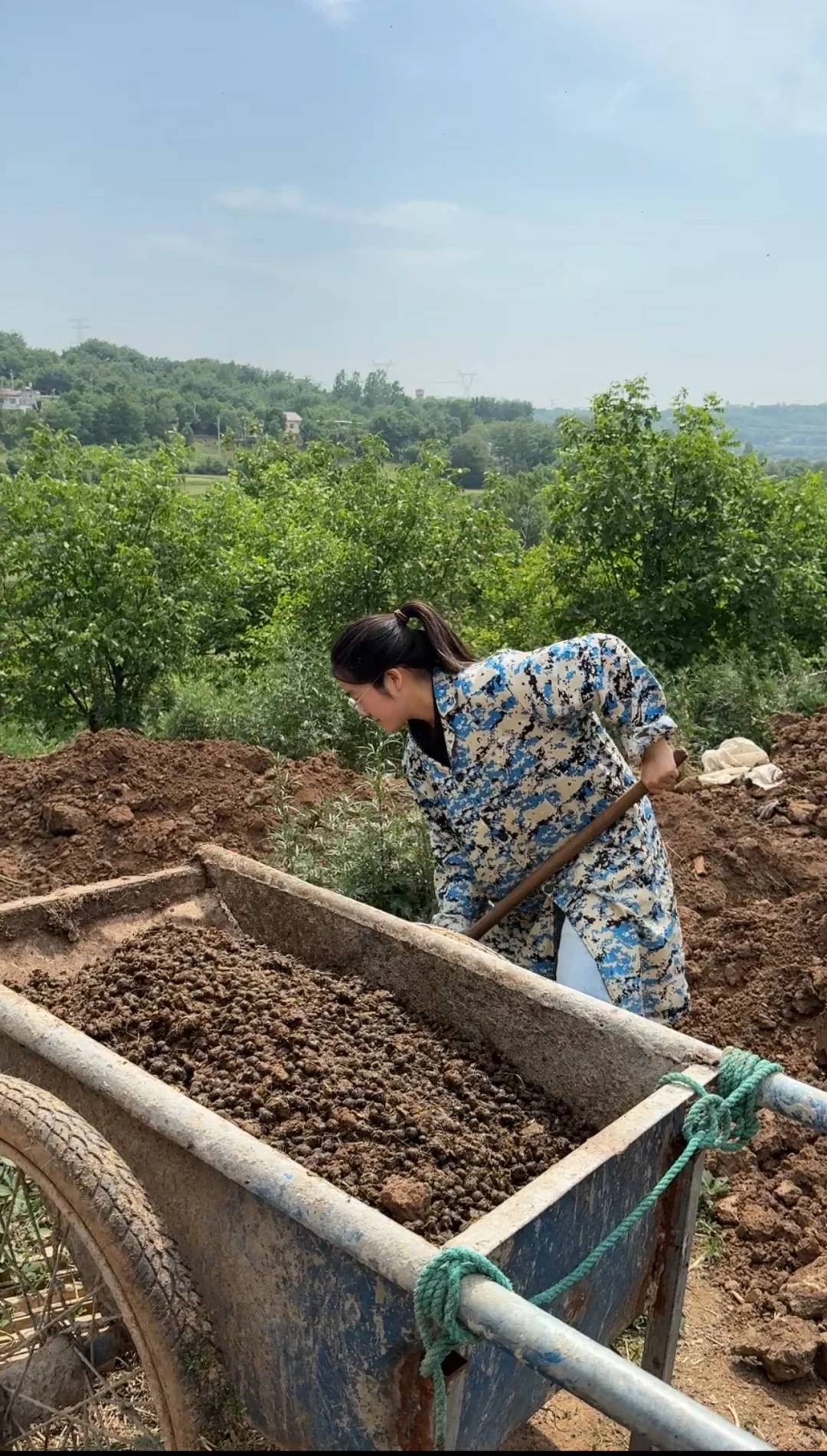 很多人问我,回家养羊后悔了吗?