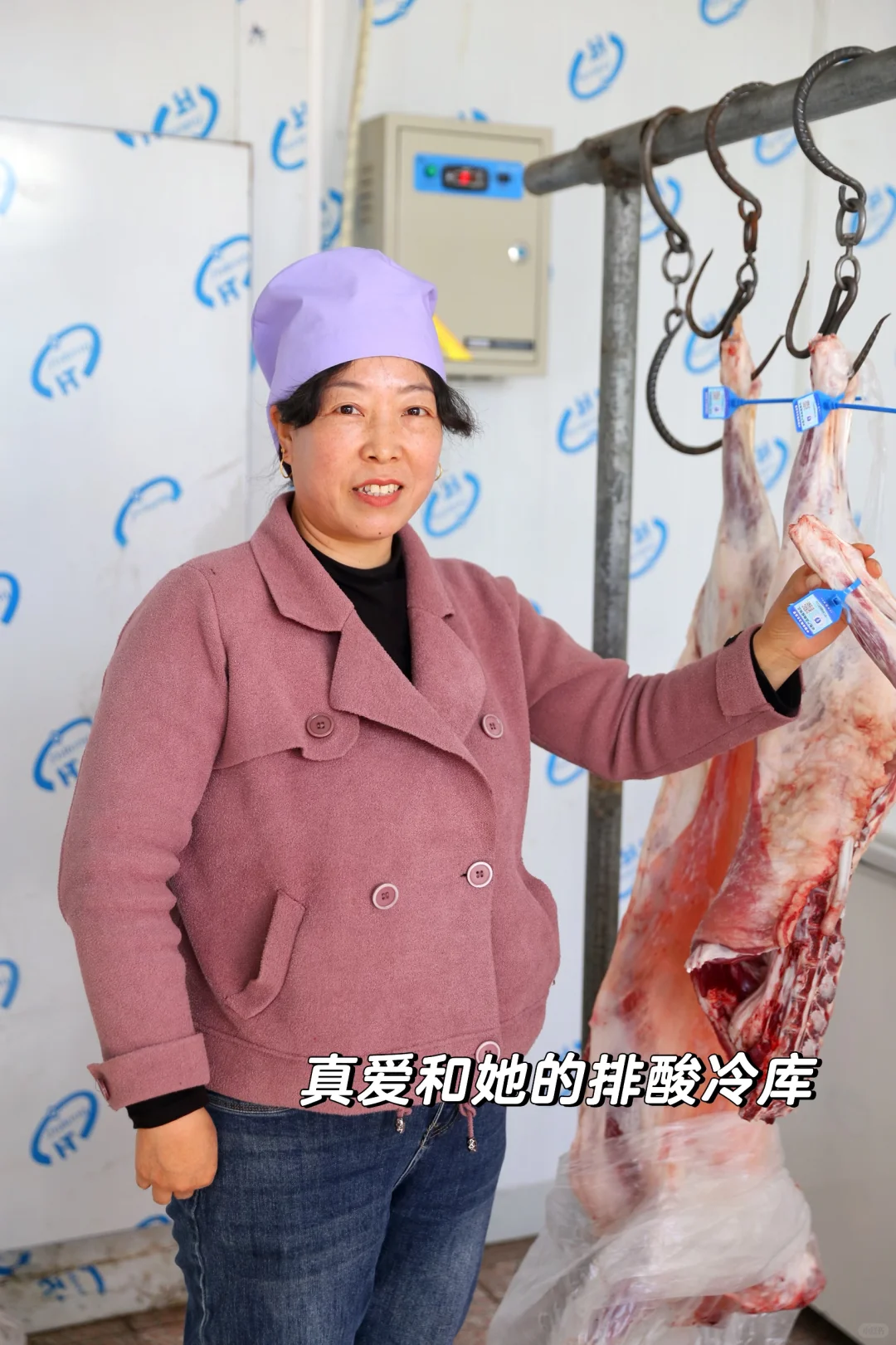 在云南吃到了真正的滩羊