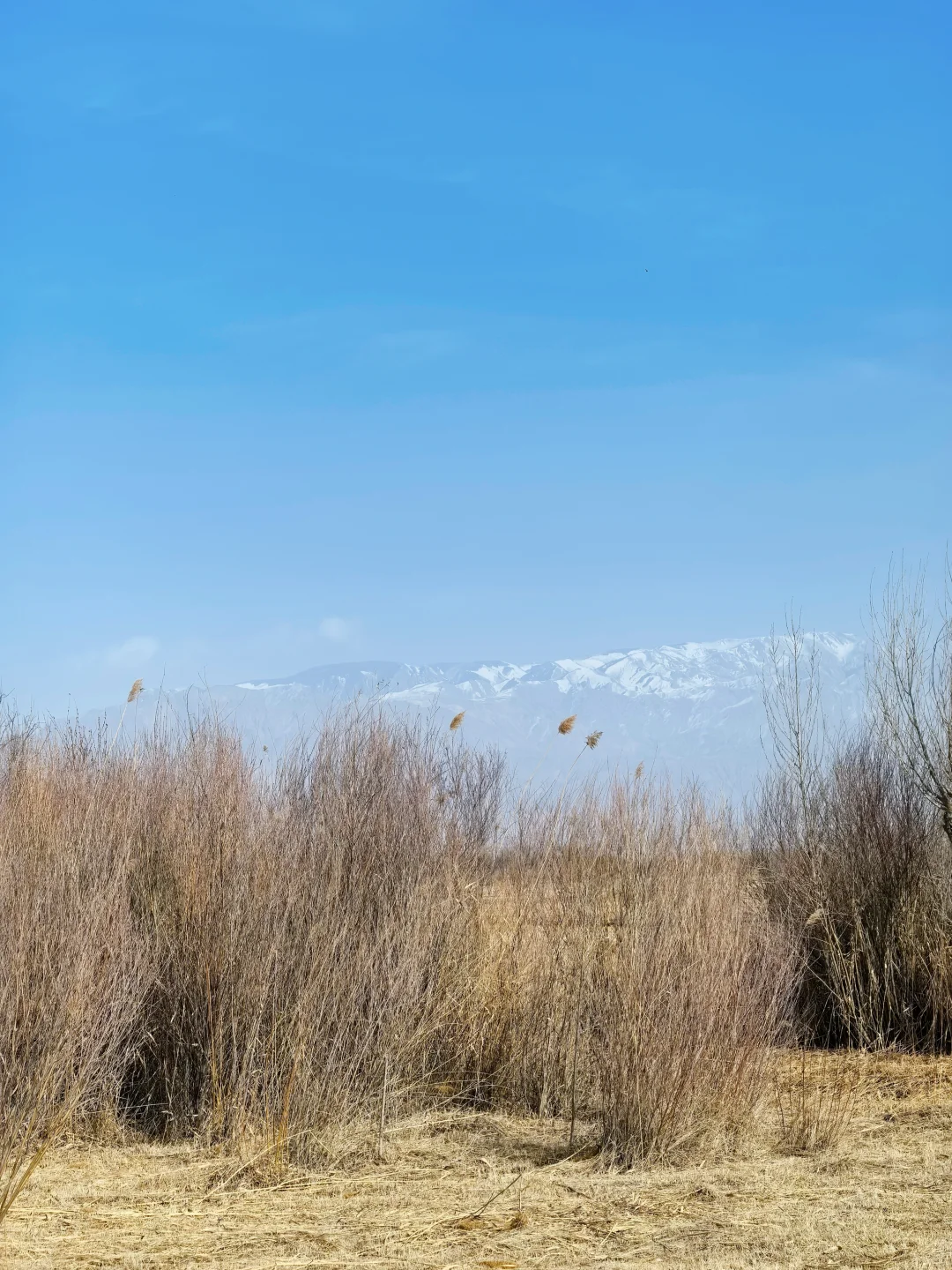 张掖最让我惊喜的地方