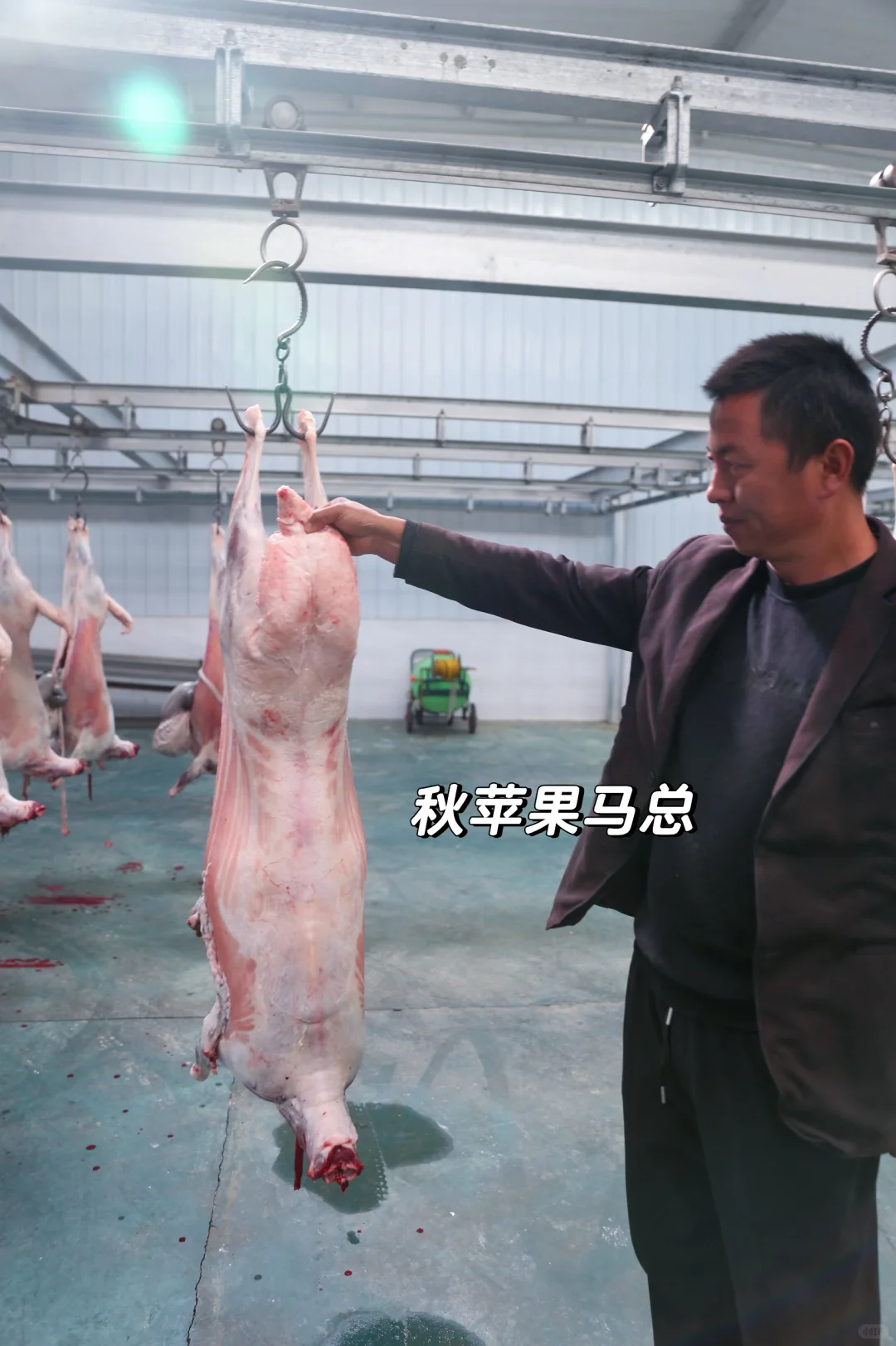 在云南吃到了真正的滩羊