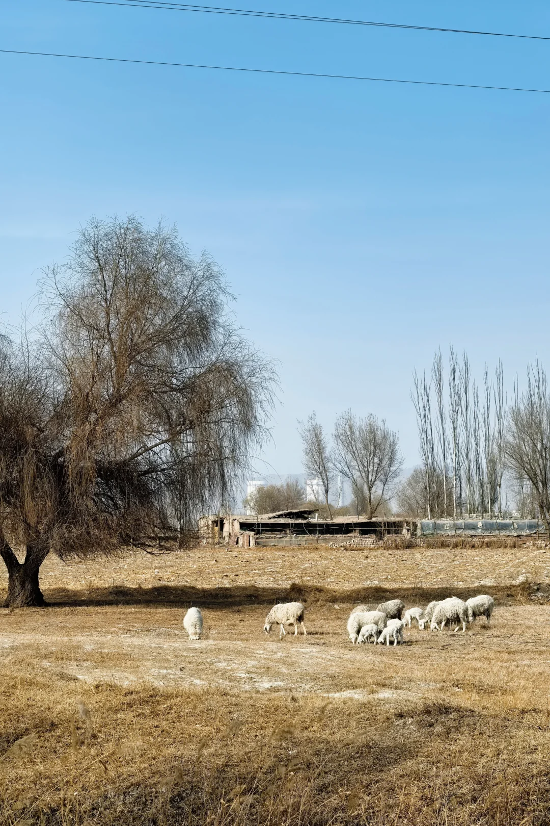 张掖最让我惊喜的地方