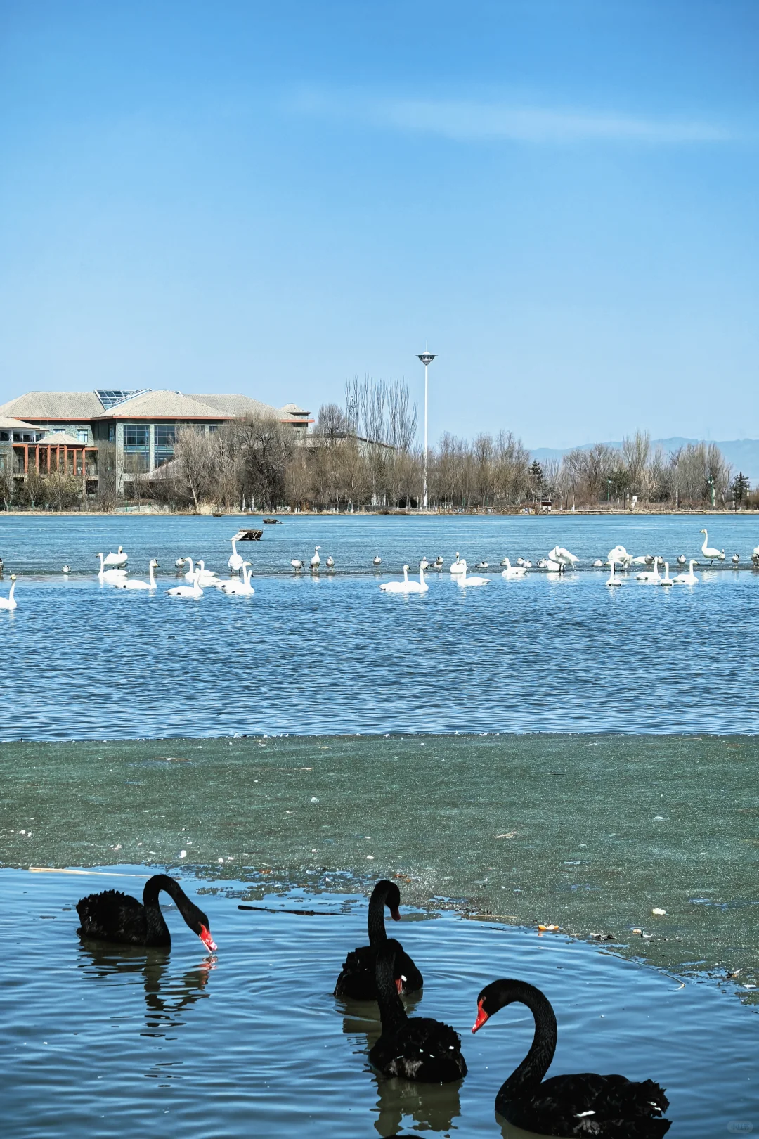 张掖最让我惊喜的地方