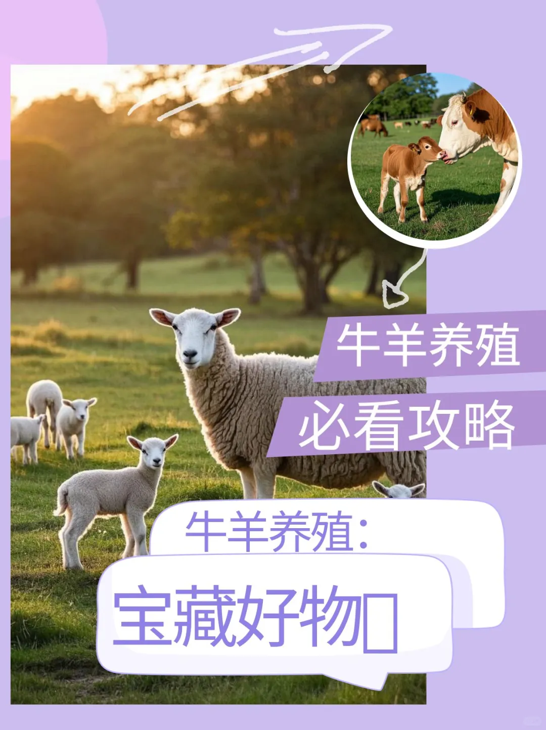 力能健,牛羊养殖的宝藏好物?