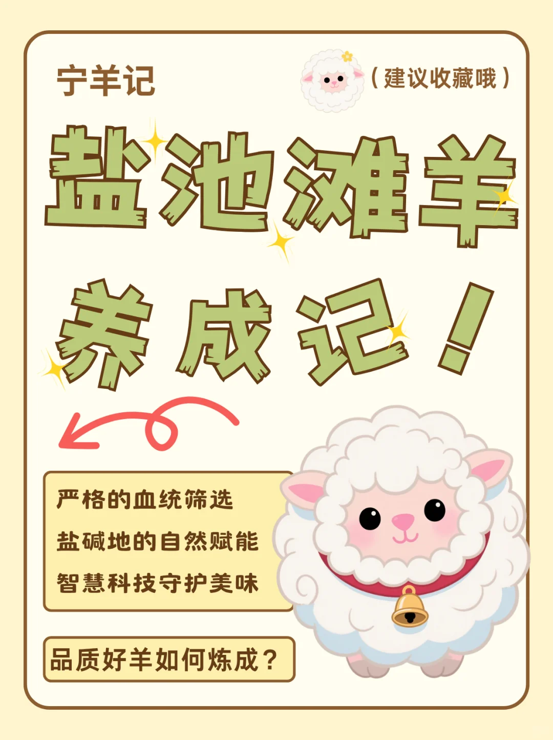 “鲜”遍天下的盐池滩羊是如何养成的??