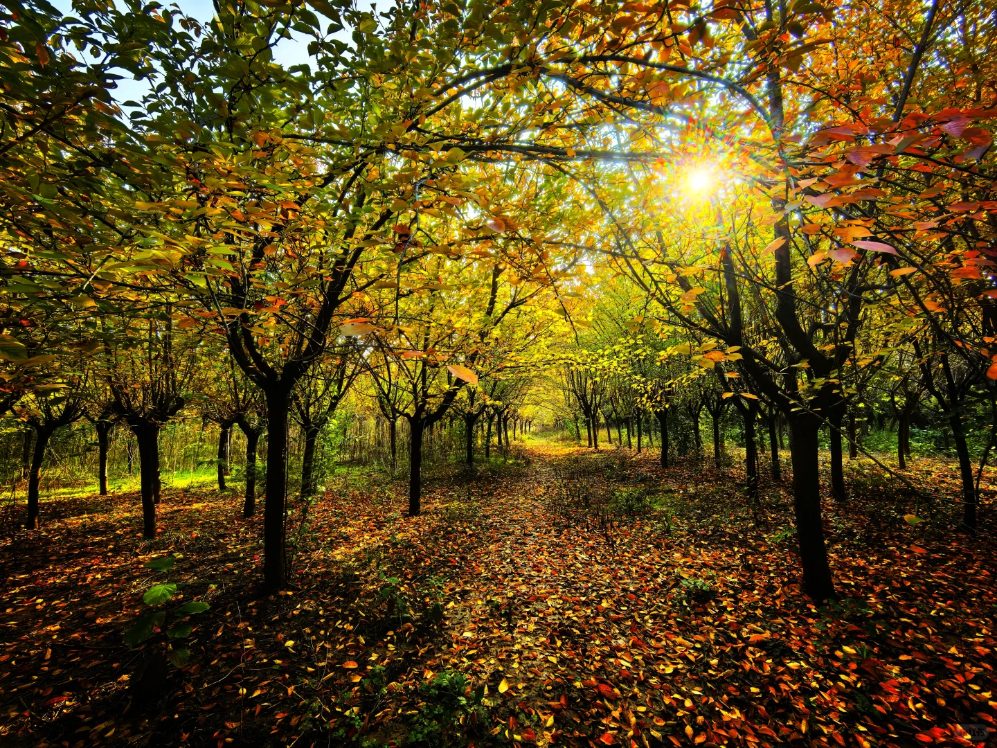 秋日,你一定要去一趟白鹿原,你啥都想开了