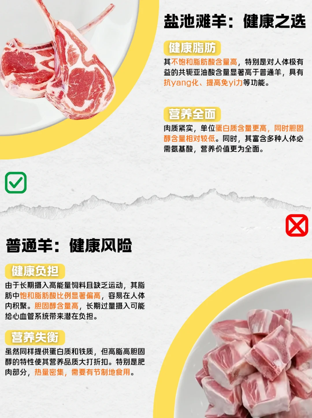 买羊肉不踩坑!盐池滩羊vs普通羊,你会选谁