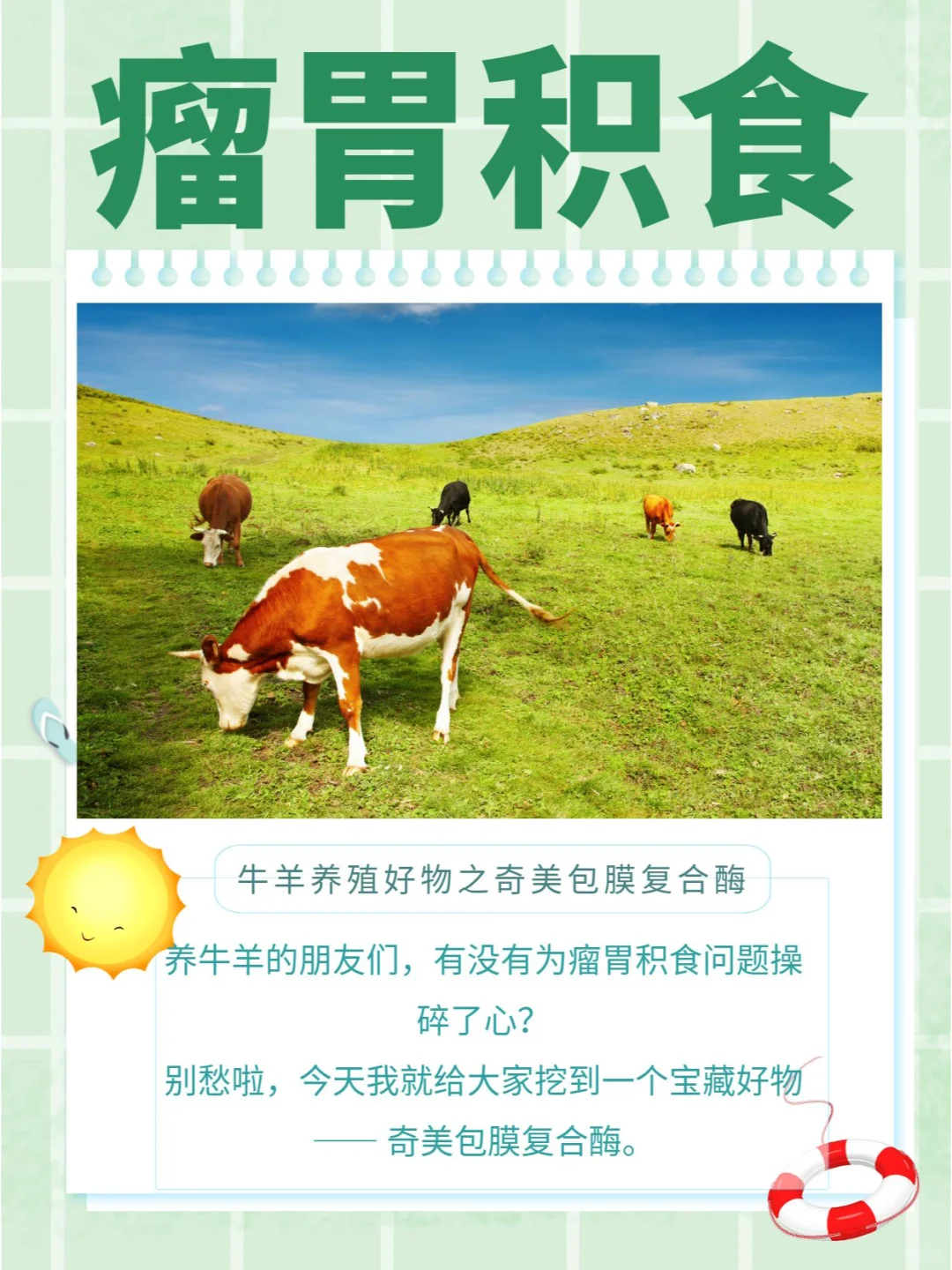 牛羊养殖好物之奇美包膜复合酶