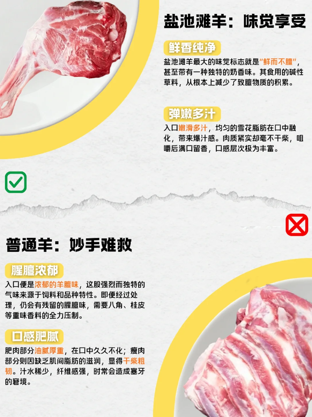 买羊肉不踩坑!盐池滩羊vs普通羊,你会选谁