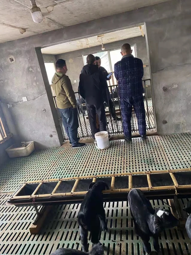 借钱养黑山羊?先搞懂“能赚”还是“必亏”